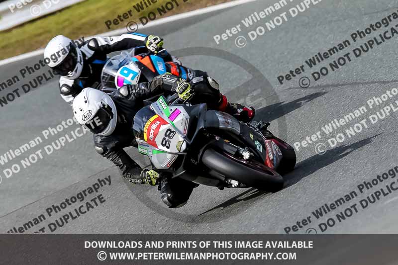 Oulton Park 21st March 2020;PJ Motorsport Photography 2020;anglesey;brands hatch;cadwell park;croft;donington park;enduro digital images;event digital images;eventdigitalimages;mallory;no limits;oulton park;peter wileman photography;racing digital images;silverstone;snetterton;trackday digital images;trackday photos;vmcc banbury run;welsh 2 day enduro